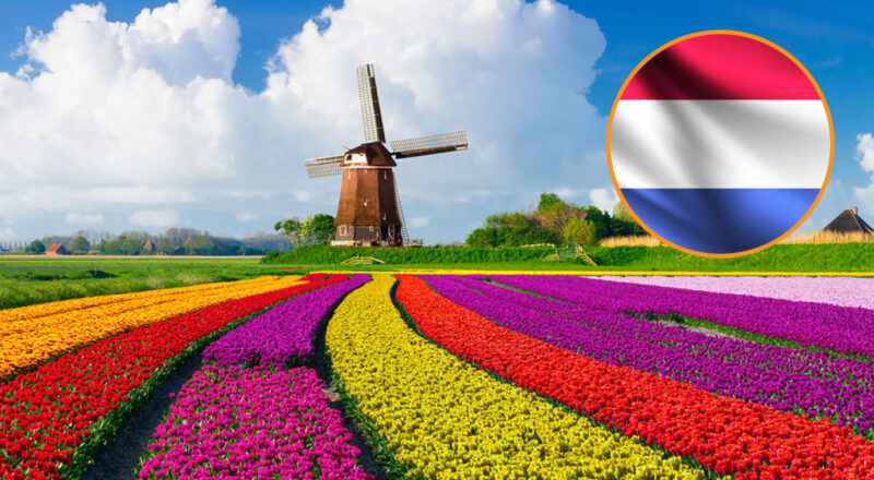 Emprender En Holanda