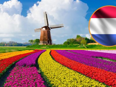 Emprender En Holanda